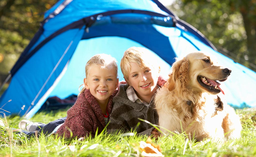 Coldstream holiday park news - Bring your four legged furry companion with you