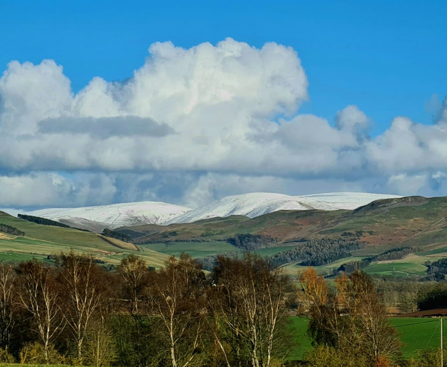 Coldstream holiday park news - Walking Holidays in the Scottish Borders