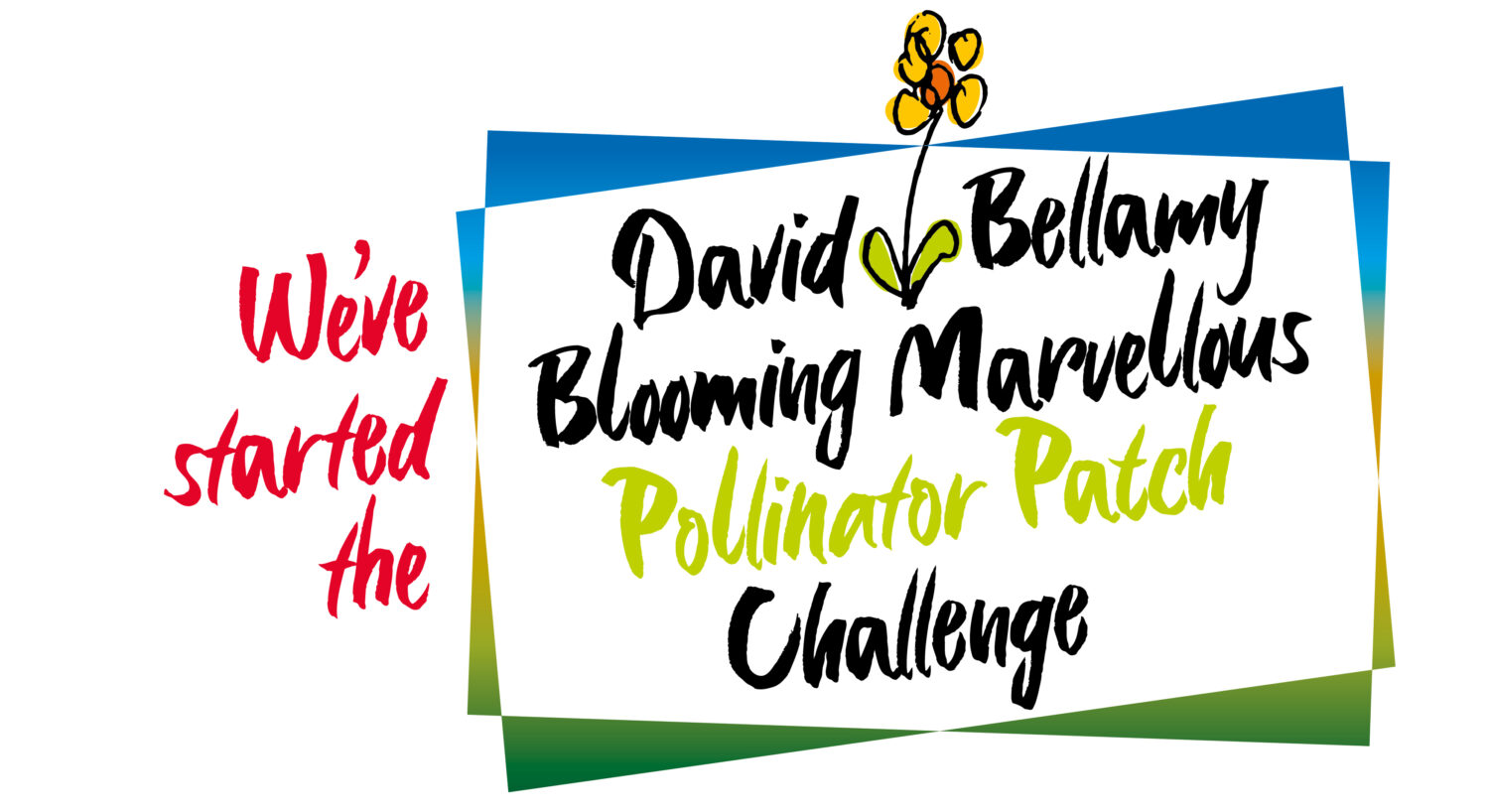 Coldstream holiday park news - Pollinator Patch Challenge