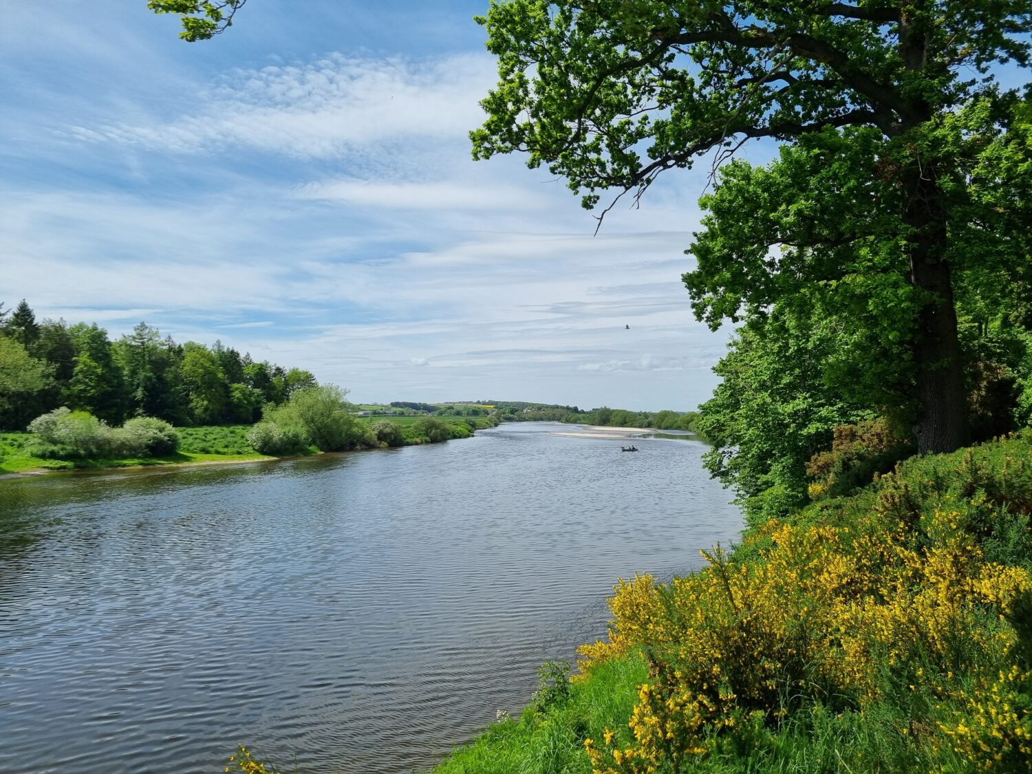 Coldstream holiday park news - Walks along the Tweed