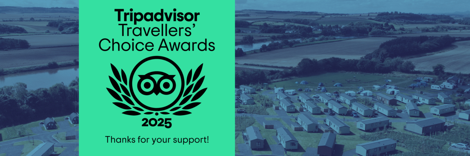 Coldstream holiday park news - TripAdvisor Travellers’ Choice Award 2025