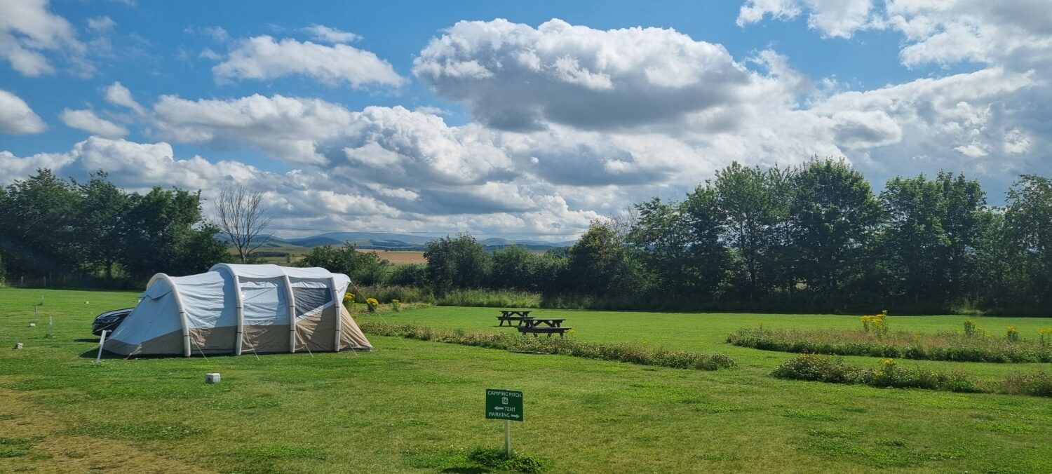 Coldstream holiday park news - Camping Packing Game