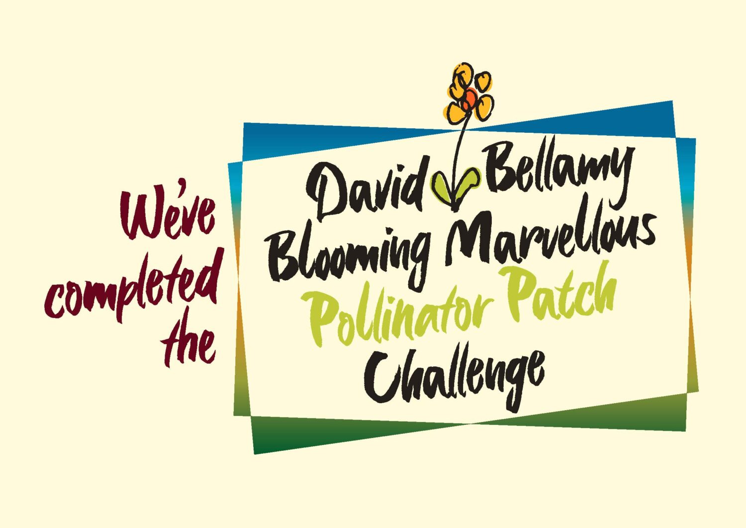 Coldstream holiday park news - David Bellamy: Pollinator Patch Award